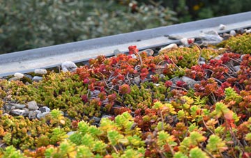 the cost of Bickenhall green roof installation