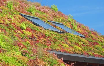 Bickenhall living roof systems